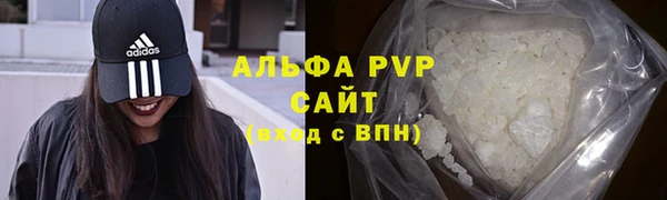 стаф Верея
