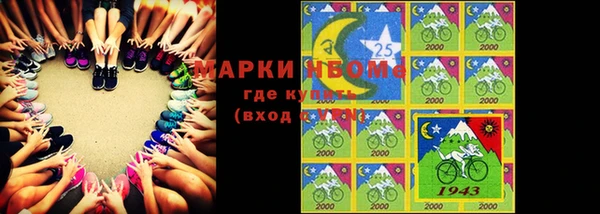 стаф Верея